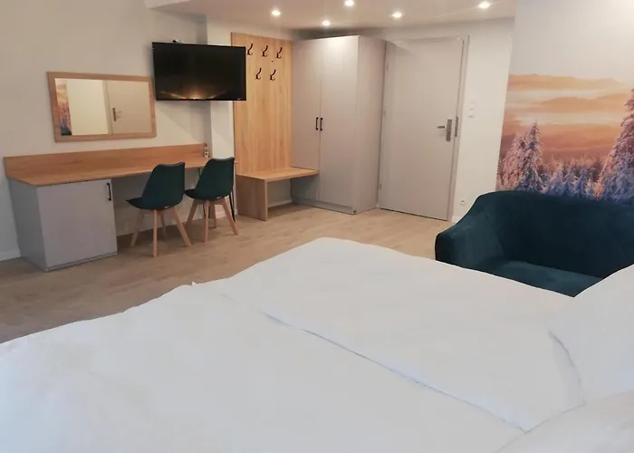 Bed & Breakfast U Zrodel Visla